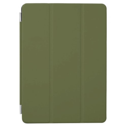 Army Green Solid Color iPad Air Cover