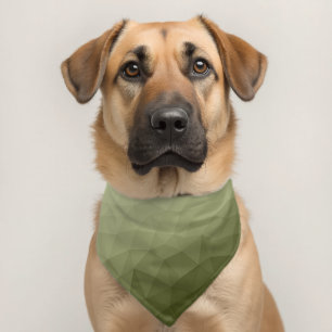 Army light green gradient geometric mesh modern pet bandana collar