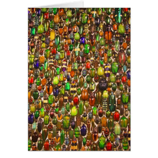 Army of Beetles and Bugs Cards