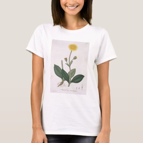 Arnica Montana from Phytographie Medicale by Jos T_Shirt