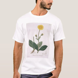Arnica Montana from 'Phytographie Medicale' by Jos T-Shirt