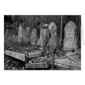 ArnosVale4 (Front Horizontal)