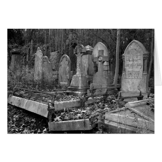 ArnosVale4 (Front Horizontal)