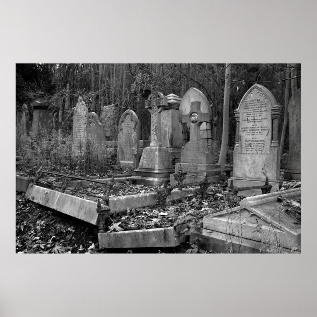 ArnosVale4 Poster (Front)