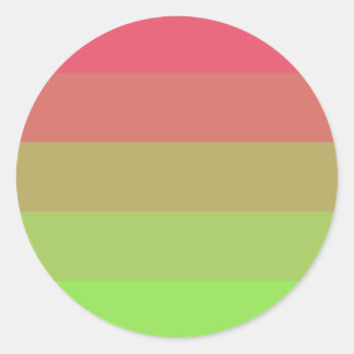 Aroflux Pride Flag Classic Round Sticker