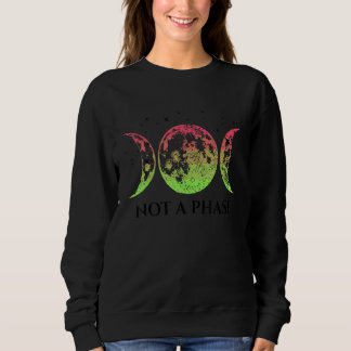 Aroflux Pride Flag Not A Phase Aroflux Flag Sweatshirt