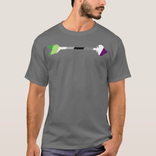 Aromantic Asexual Arrow Aro and Ace Flags T_Shirt