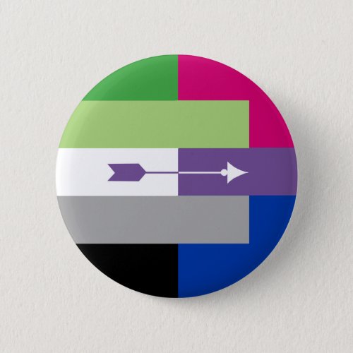 Aromantic Bisexual Pin