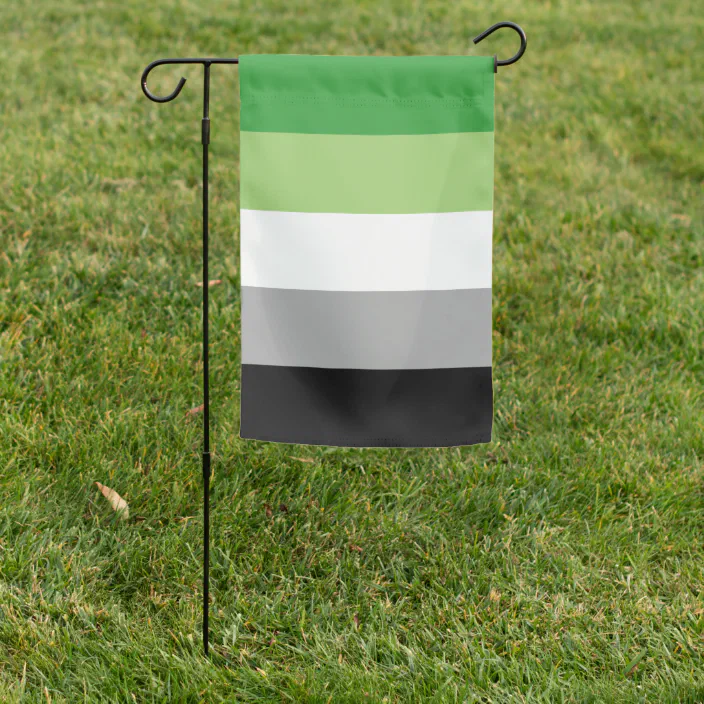 Aromantic flag