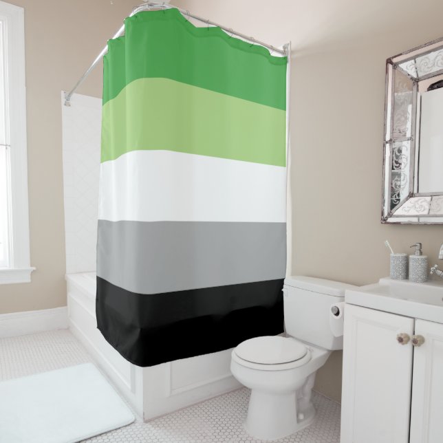 Aromantic Flag Shower Curtain (In Situ)