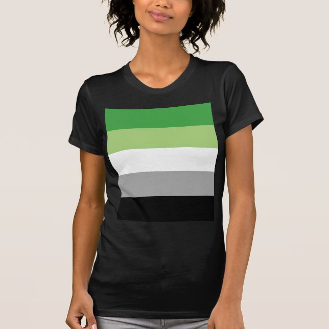 aromantic flag T-Shirt (Front)