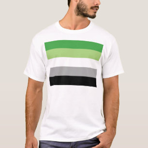 Aromantic flag T-Shirt