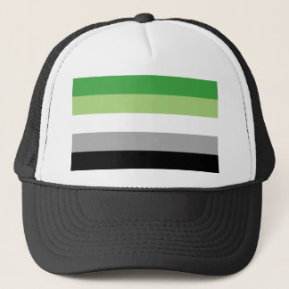 Aromantic flag trucker hat