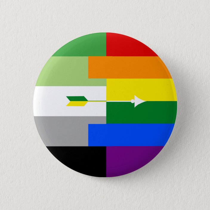 Aromantic Homosexual Pin