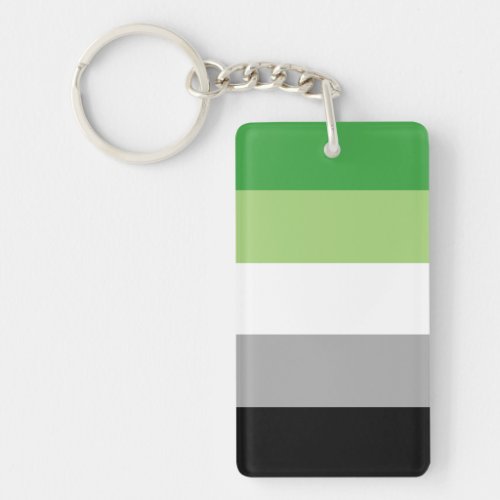 Aromantic Pride Flag Keychain