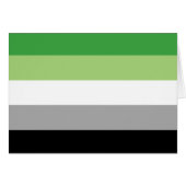 Aromantic Pride Flag LGBTQ (Front Horizontal)