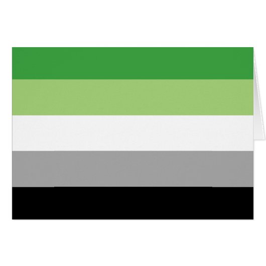 Aromantic Pride Flag LGBTQ (Front Horizontal)