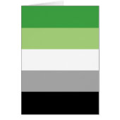 Aromantic Pride Flag LGBTQ (Front)