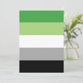 Aromantic Pride Flag LGBTQ (Standing Front)