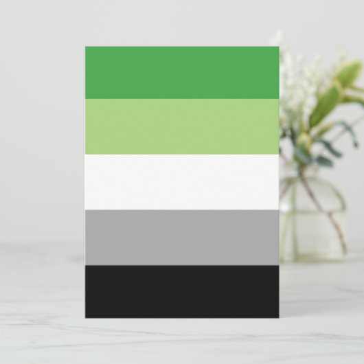Aromantic Pride Flag LGBTQ (Standing Front)