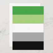 Aromantic Pride Flag LGBTQ (Front/Back)