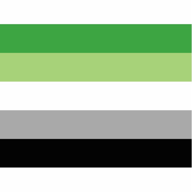 Aromantic Pride Flag LGBTQ Cutout (Front)