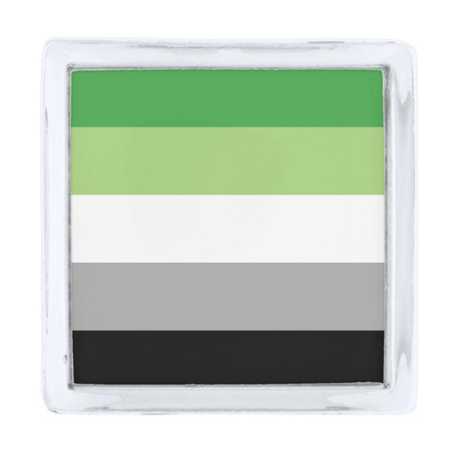 Aromantic Pride Flag LGBTQ Silver Finish Lapel Pin (Front)