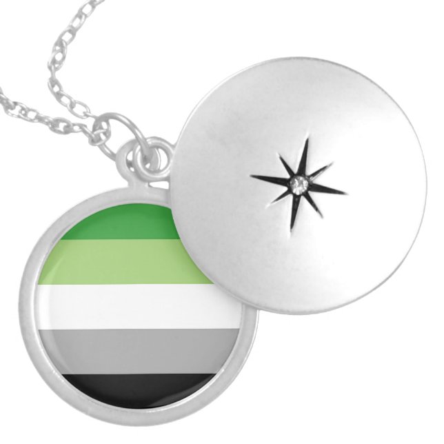 Aromantic Pride Flag Locket Necklace (Front)