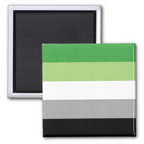 Aromantic Pride Flag  Magnet