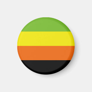 Aromantic Pride Flag Magnet