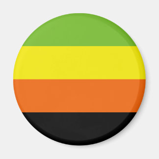 Aromantic Pride Flag Magnet