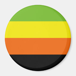 Aromantic Pride Flag Magnet