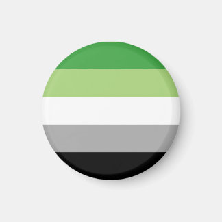 Aromantic Pride Stripes Magnet