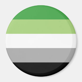Aromantic Pride Stripes Magnet