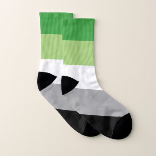 Aromantic Pride Stripes Socks