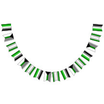 Aromantic Spectrum Bunting Flags