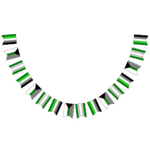 Aromantic Spectrum Bunting Flags