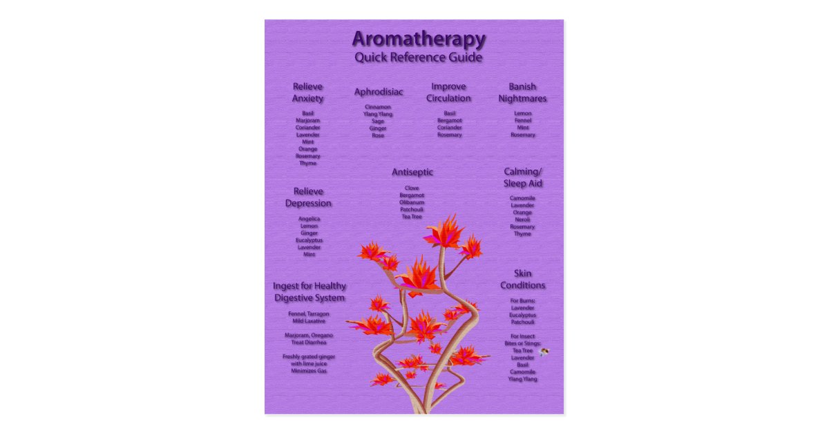 Aromatherapy Chart Postcard | Zazzle.com