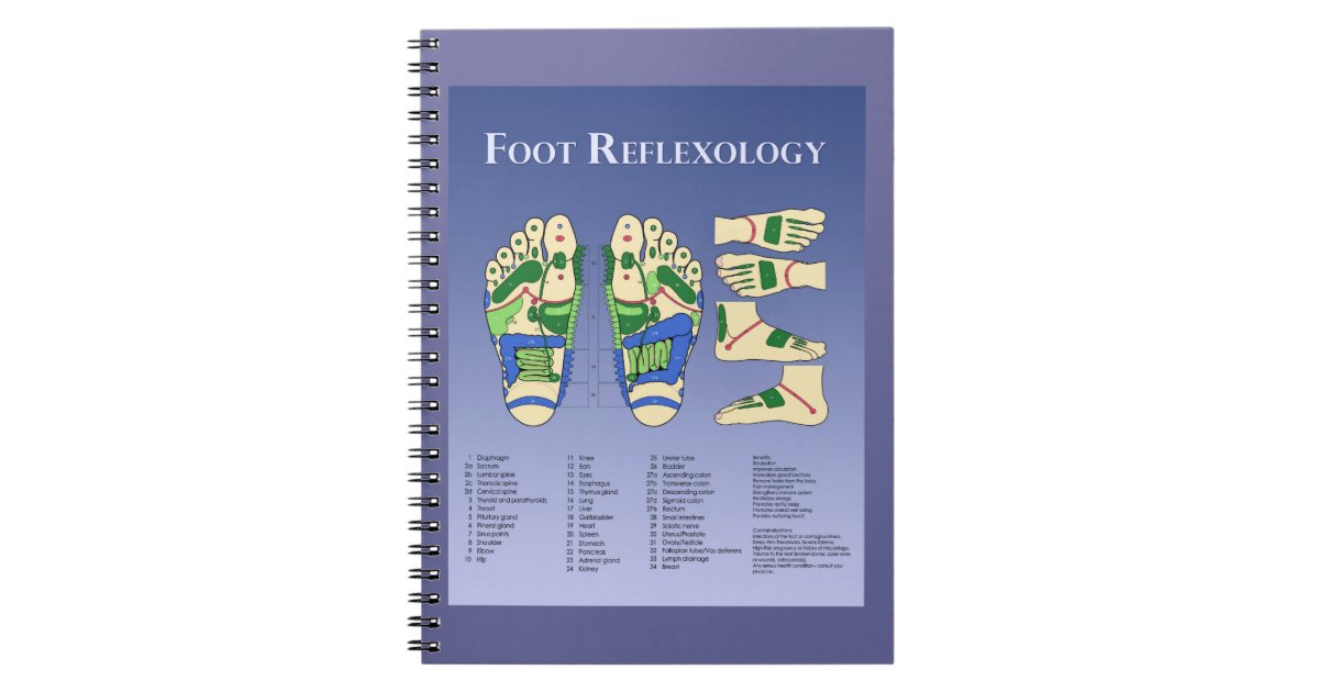 Aromatherapy Quick Reference Chart Notebook