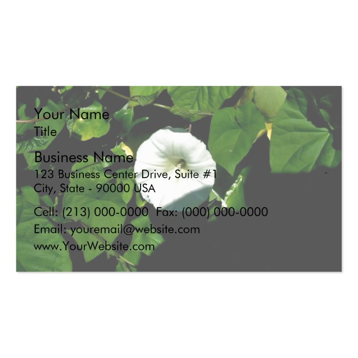 Aromatic White wild flowers under the shadow Business Cards