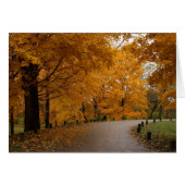 "Around the Bend" (Front Horizontal)