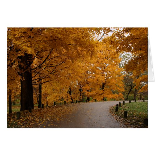 "Around the Bend" Cards (Front Horizontal)