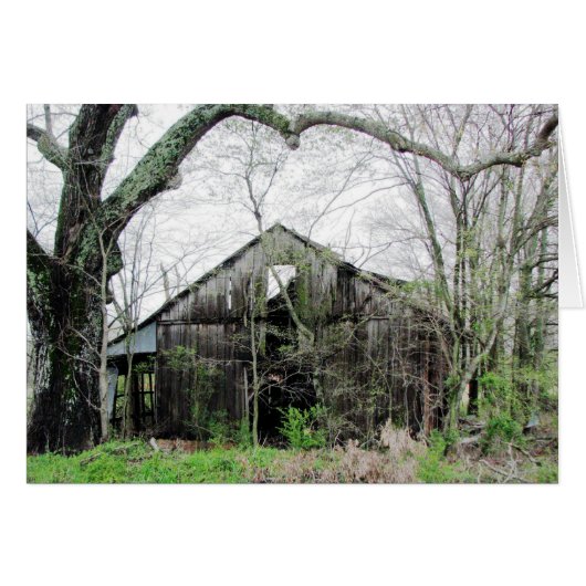 Around the Corner Cards (Front Horizontal)