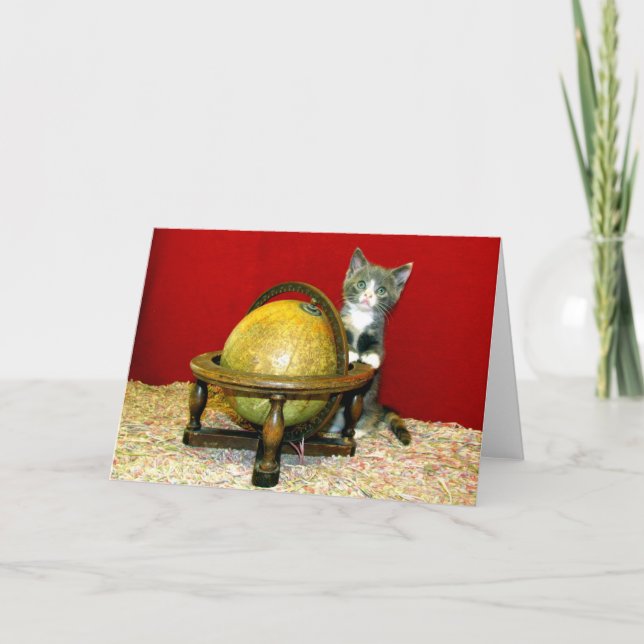 Around the World Rescue Kitty Greeting Card (Front)