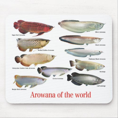 Arowana Mouse Pad