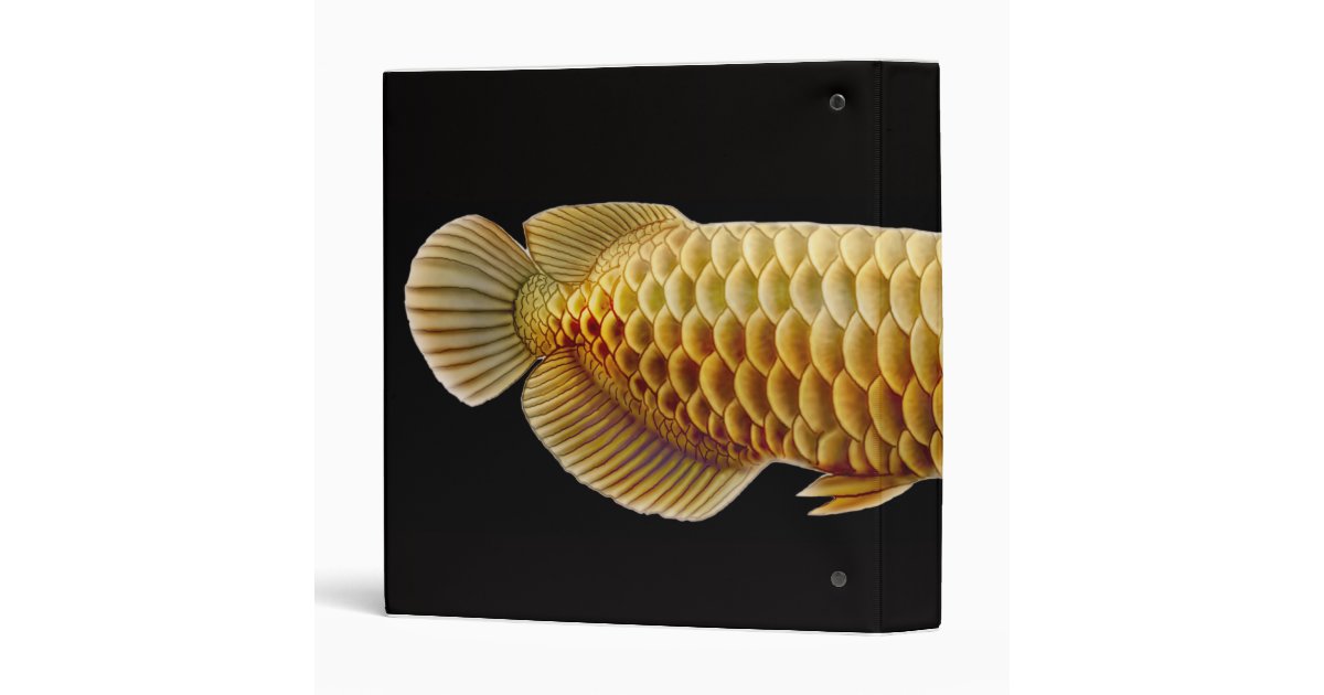 Arowana Tropical Fish Binder | Zazzle