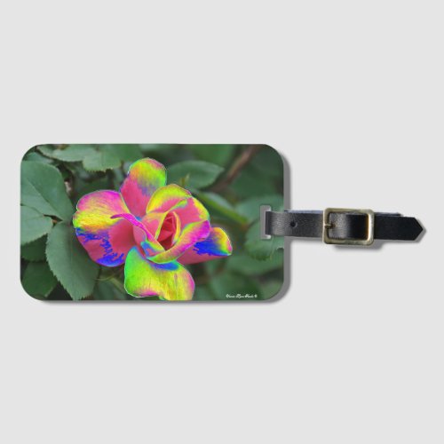 Array of Color _ Luggage Tag