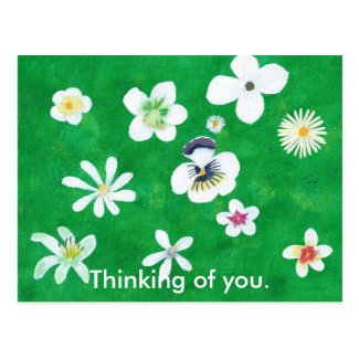 Array of White Flowers Thinking of you Postcards