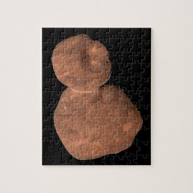 Arrokoth Kuiper Belt Object Jigsaw Puzzle (Vertical)