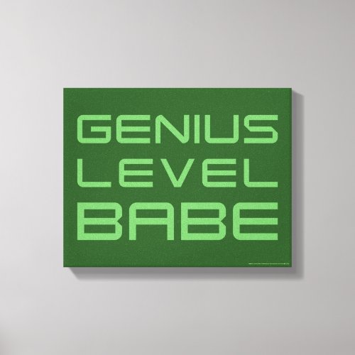 Arrow  Genius Level Babe Canvas Print